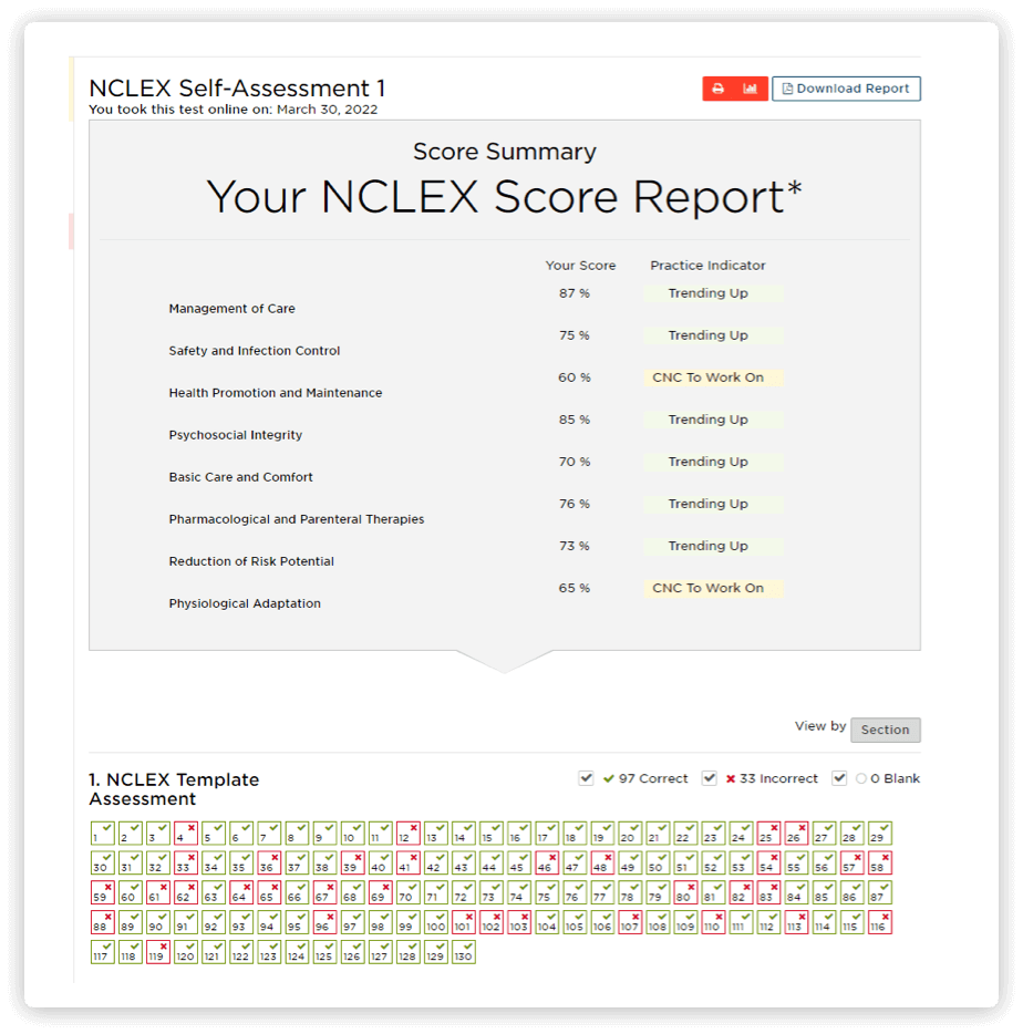 Score report preview